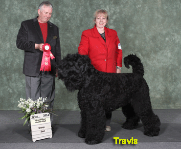 Travis