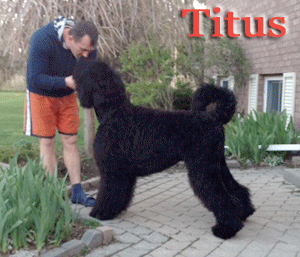 Titus