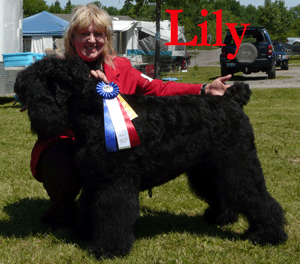 Lily